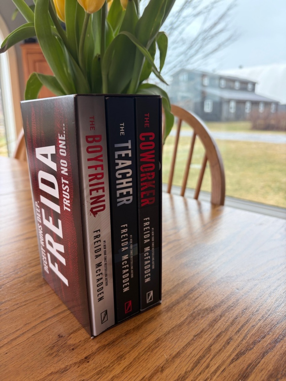Freida McFadden Thriller Box Set